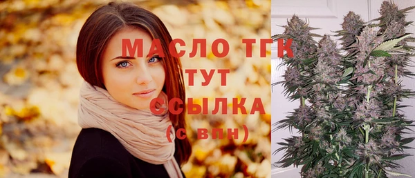 индика Абдулино