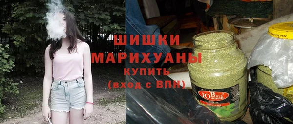 spice Няндома