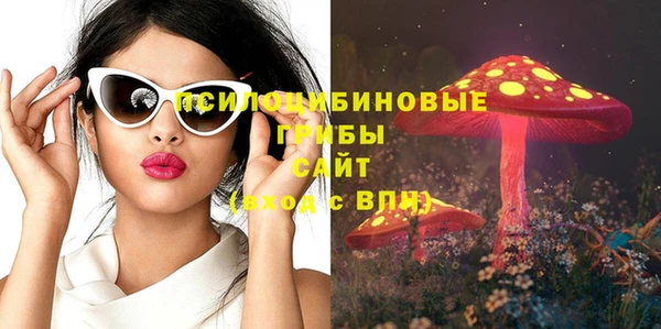 соль ск Абаза