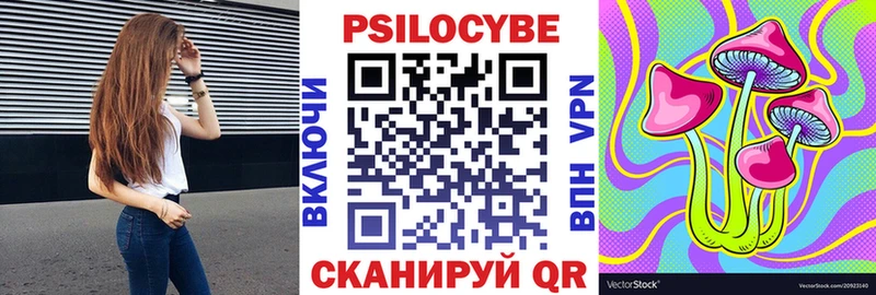 продажа наркотиков  Рассказово  kraken онион  Псилоцибиновые грибы MAGIC MUSHROOMS 