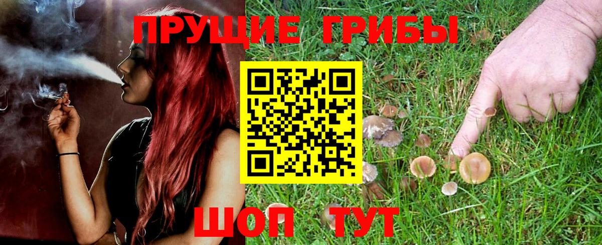 Рассказово  Псилоцибиновые грибы Psilocybe  Псилоцибиновые грибы мицелий  дарнет шоп  Вход с VPN 