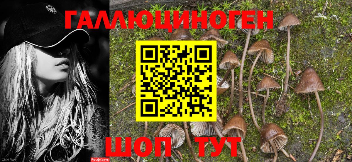 Псилоцибиновые грибы Magic Shrooms Рассказово